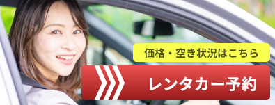 共和商事のレンタカー予約
